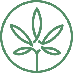 Mari Medical Online
